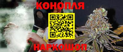 прущие грибы Лесосибирск