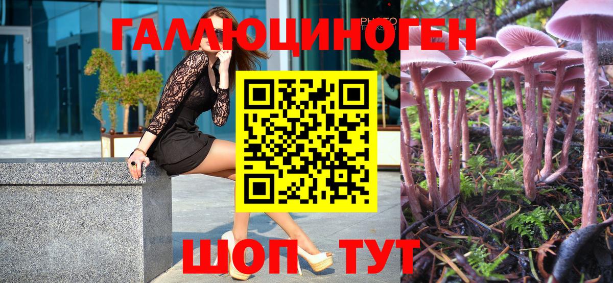 Псилоцибиновые грибы GOLDEN TEACHER  Галлюциногенные грибы Magic Shrooms  Вход с VPN  Калуга 
